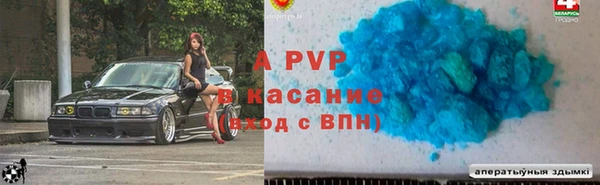 стаф Осинники