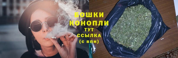 стаф Осинники