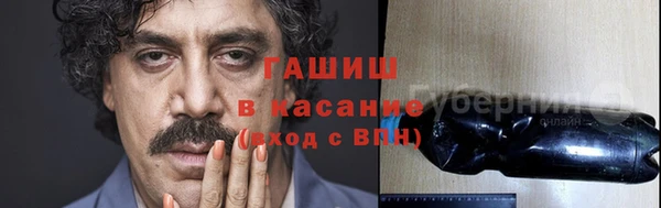 стаф Осинники