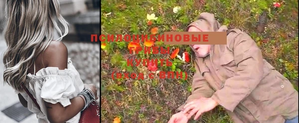 стаф Осинники