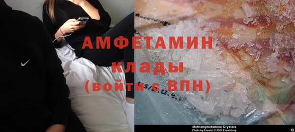 стаф Осинники