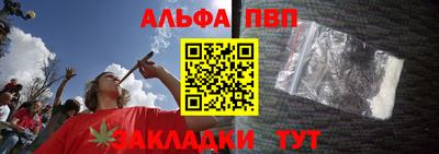 индика Гусев