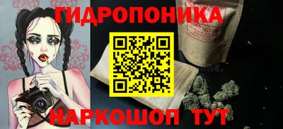 гашик Гусь-Хрустальный