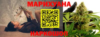 индика Гусев