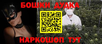 индика Гусев