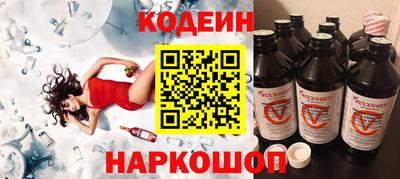 индика Гусев