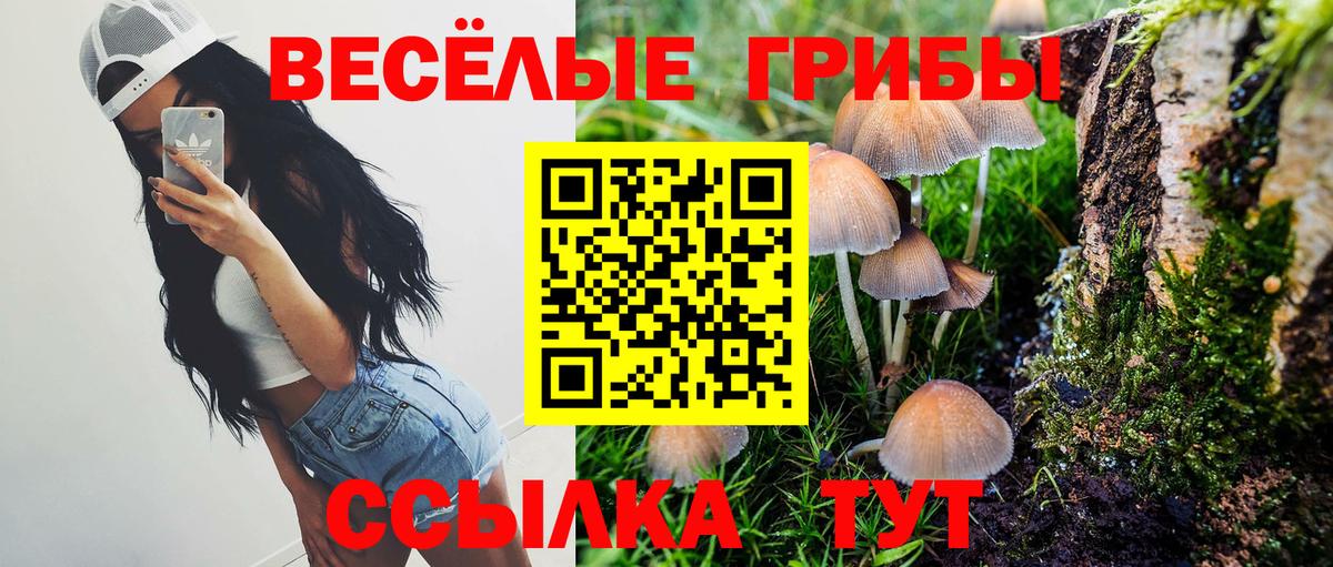 Галлюциногенные грибы Psilocybe Ипатово