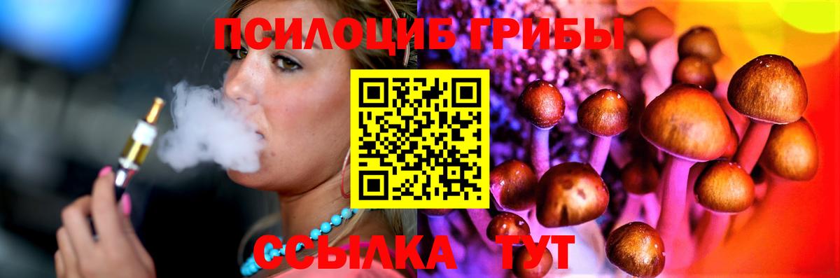 Ипатово  Галлюциногенные грибы Cubensis  Вход с VPN 